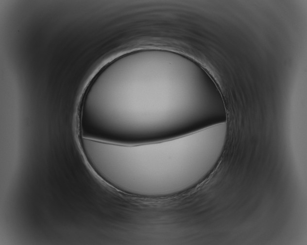 X0000098091531200804040716