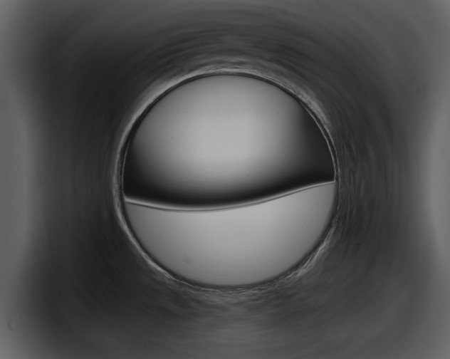 X0000098091533200804040716