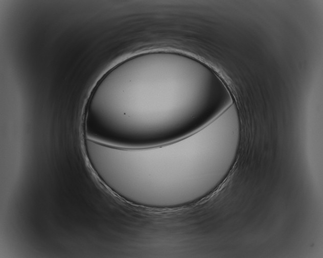 X0000098091534200804040716