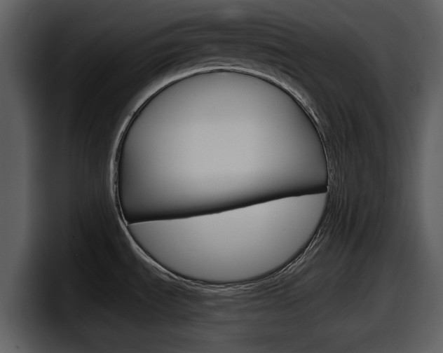 X0000098091535200804040716