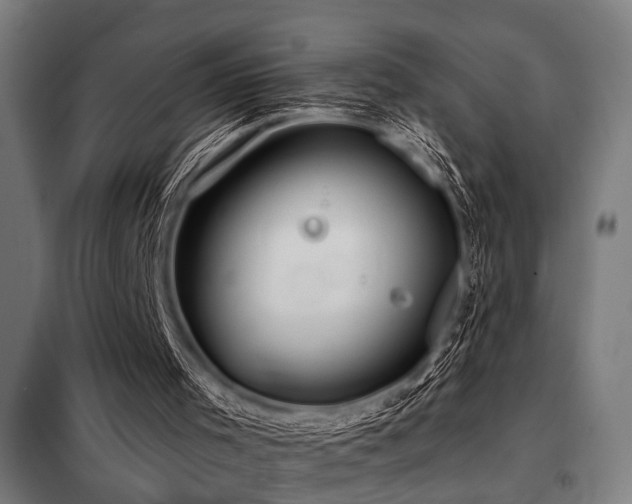 X0000098090001200804041231