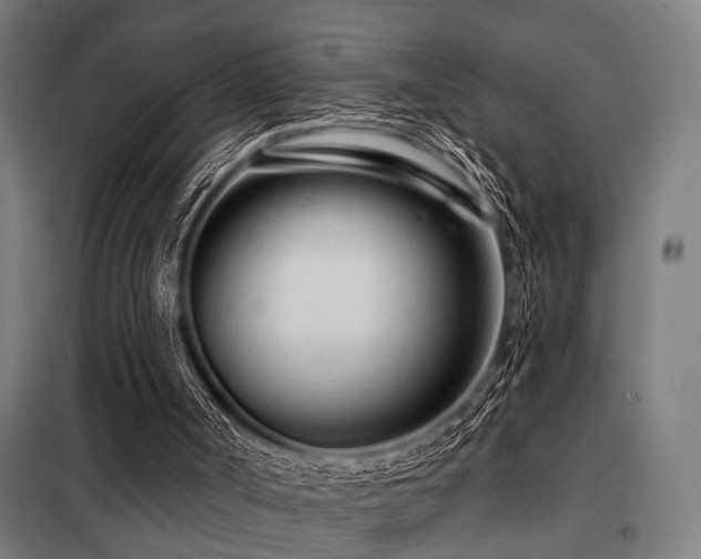 X0000098090002200804041231