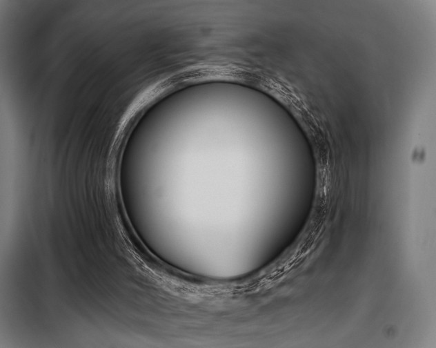 X0000098090004200804041231