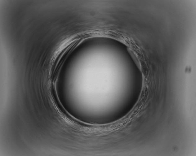 X0000098090005200804041231
