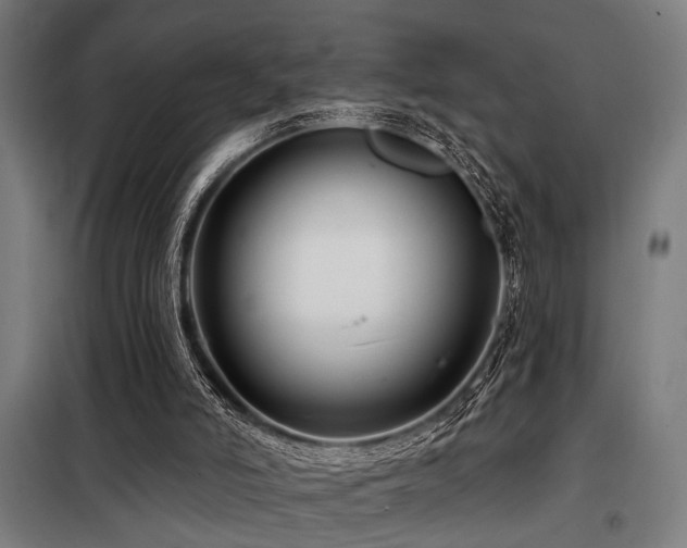 X0000098090006200804041231