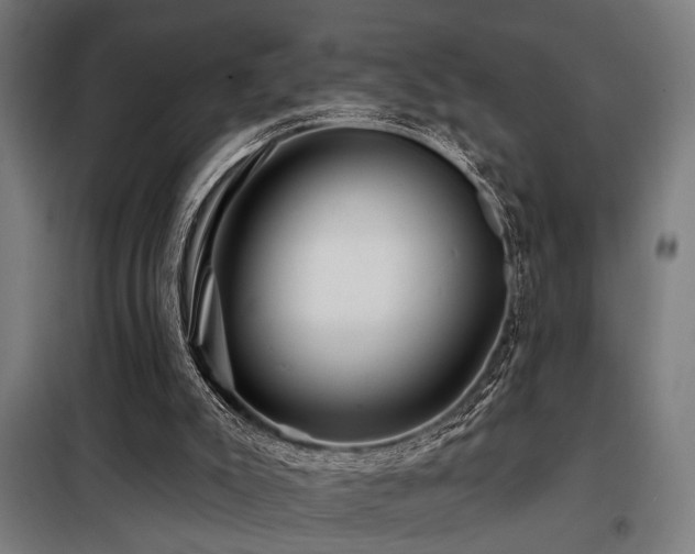 X0000098090007200804041231