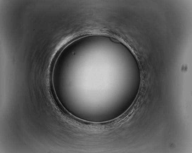 X0000098090008200804041231