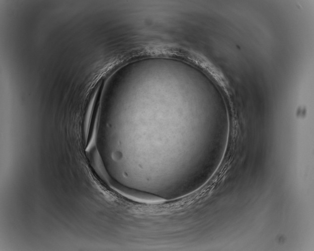 X0000098090009200804041231