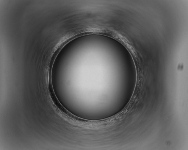 X0000098090011200804041231