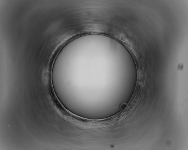 X0000098090012200804041231
