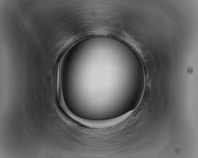 X0000098090013200804041231