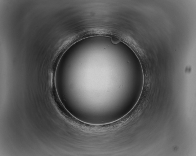 X0000098090014200804041231