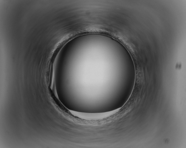 X0000098090015200804041231