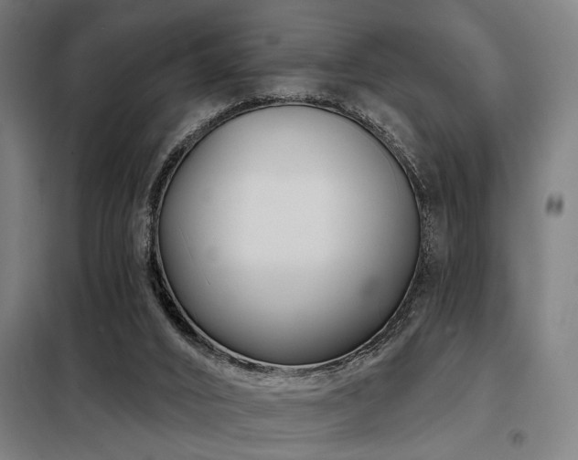 X0000098090016200804041231