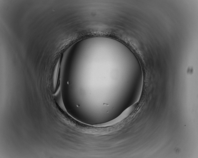 X0000098090017200804041231