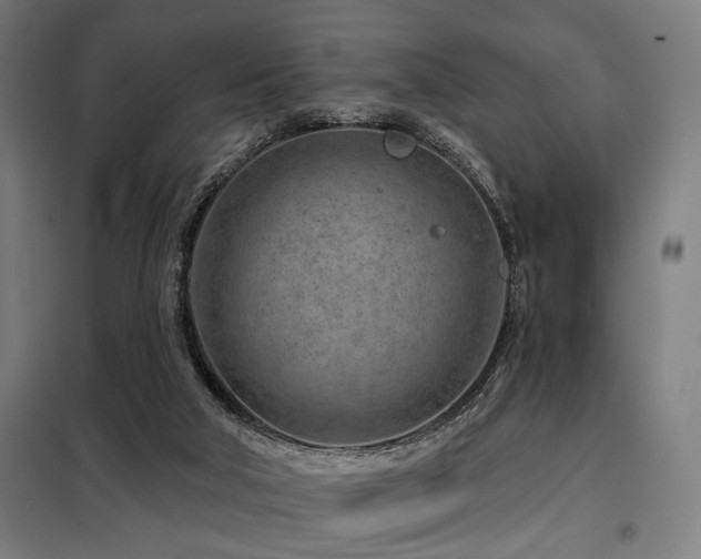 X0000098090018200804041231