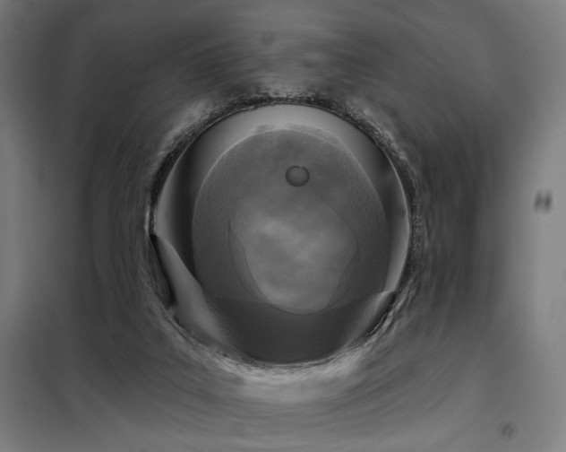 X0000098090019200804041231
