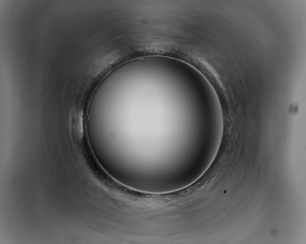 X0000098090020200804041231