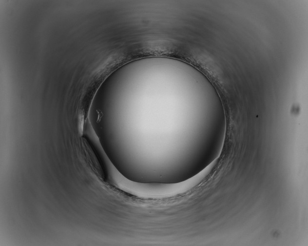 X0000098090021200804041231
