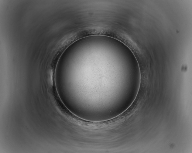 X0000098090022200804041231