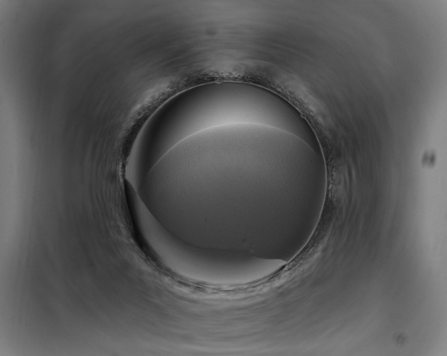 X0000098090023200804041230