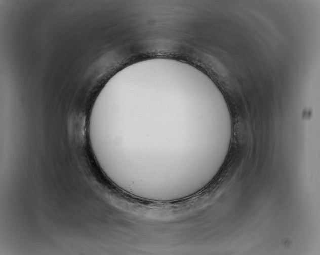 X0000098090024200804041230
