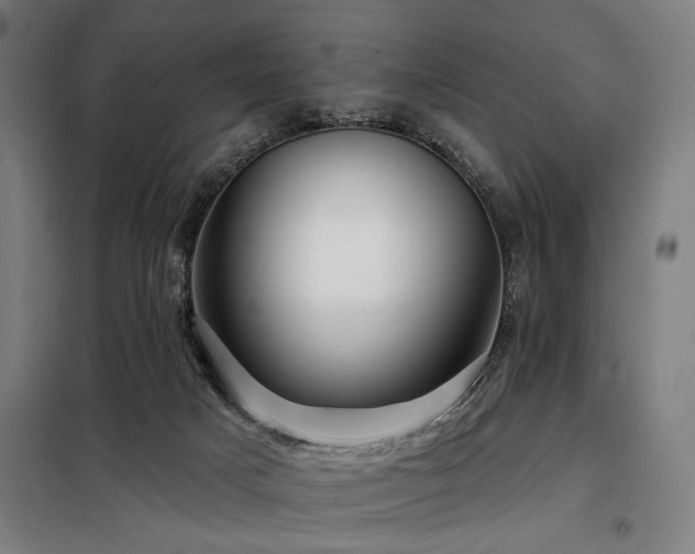 X0000098090025200804041230