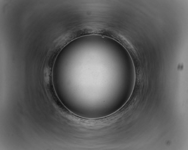 X0000098090026200804041230
