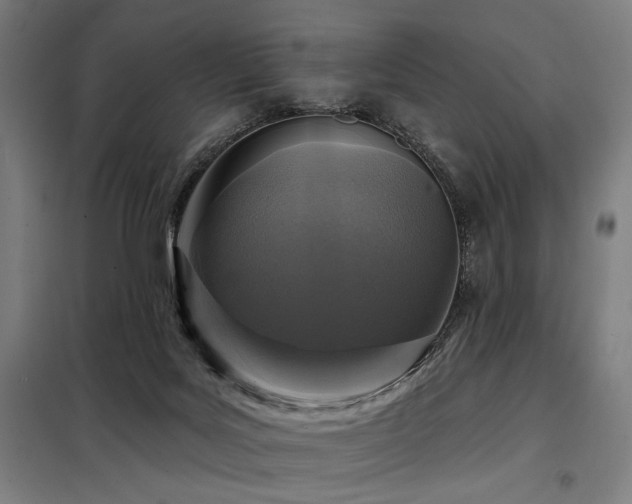 X0000098090027200804041230