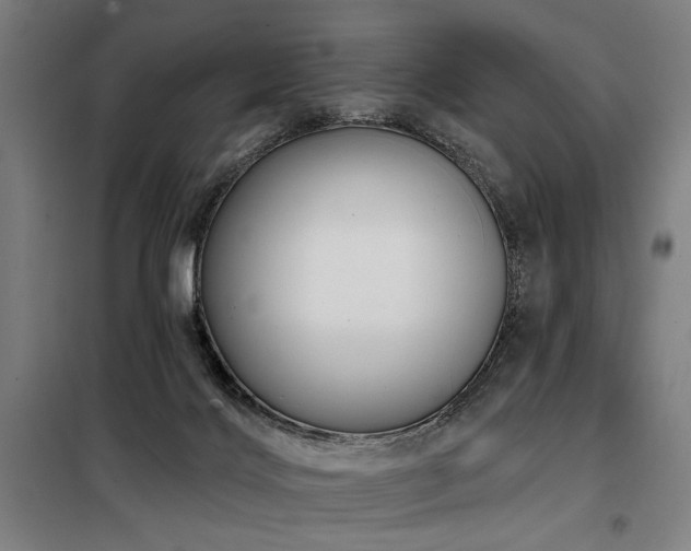 X0000098090028200804041230
