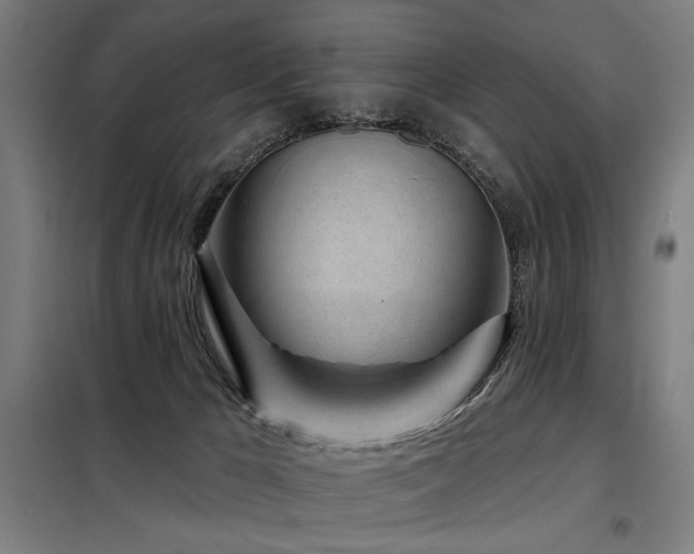 X0000098090029200804041230