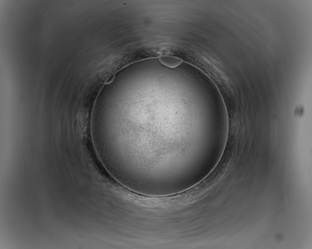 X0000098090030200804041230