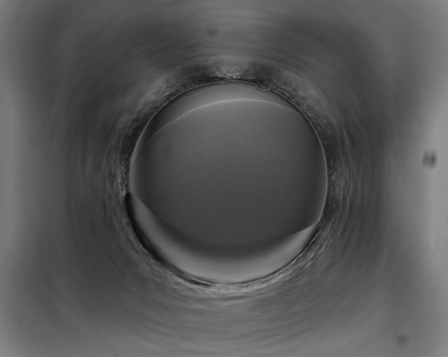 X0000098090031200804041230