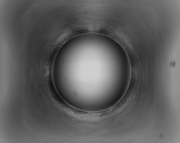 X0000098090032200804041230