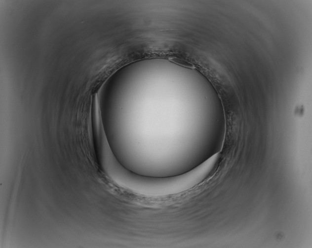 X0000098090033200804041230