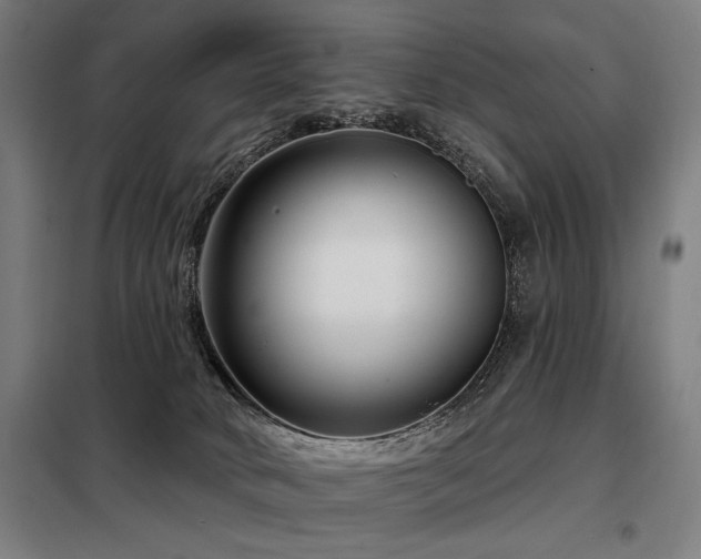 X0000098090034200804041230
