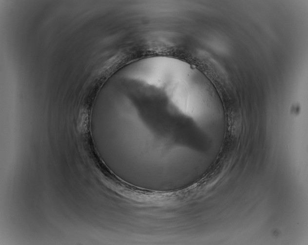 X0000098090036200804041230