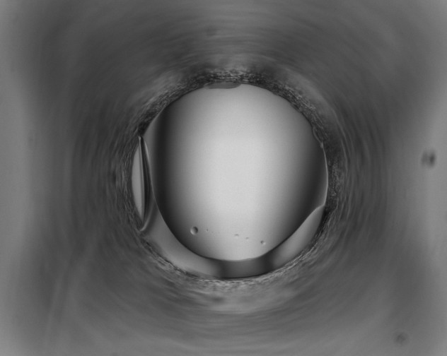 X0000098090037200804041230