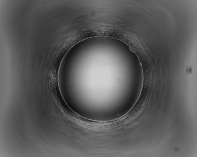 X0000098090040200804041230