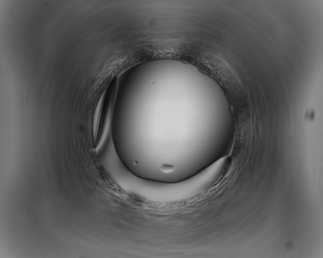 X0000098090041200804041230