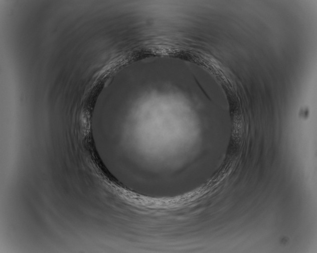 X0000098090043200804041230