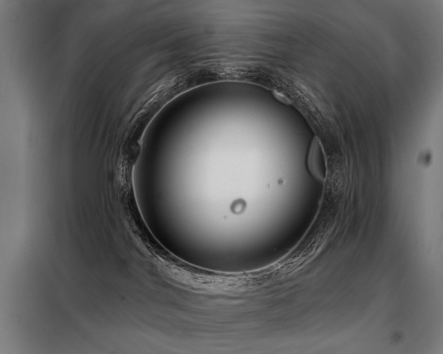 X0000098090044200804041230