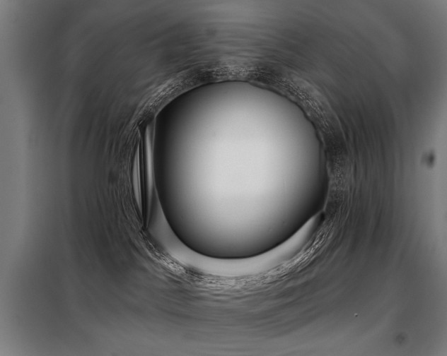 X0000098090045200804041230