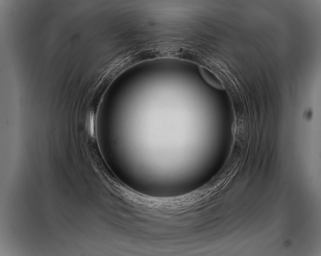 X0000098090046200804041230