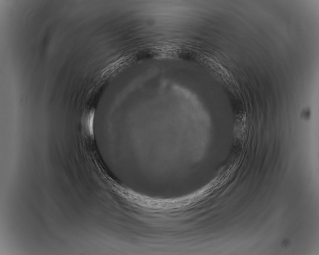 X0000098090047200804041230