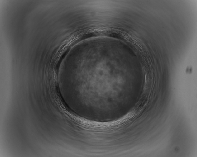 X0000098090048200804041230
