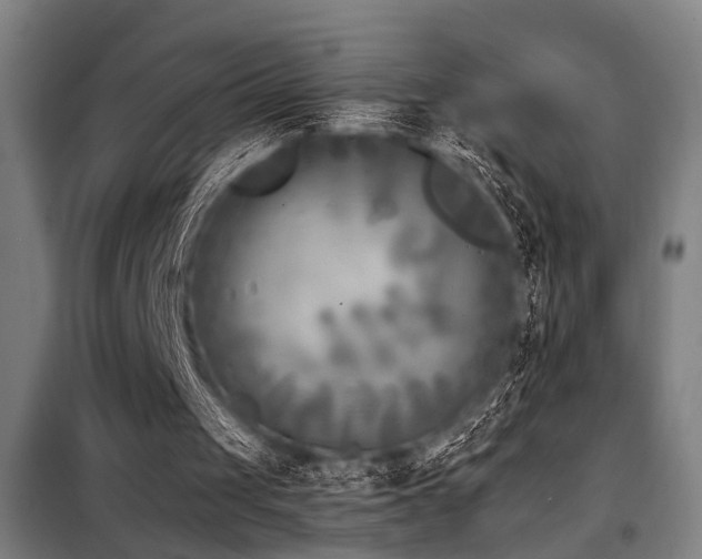 X0000098090049200804041229