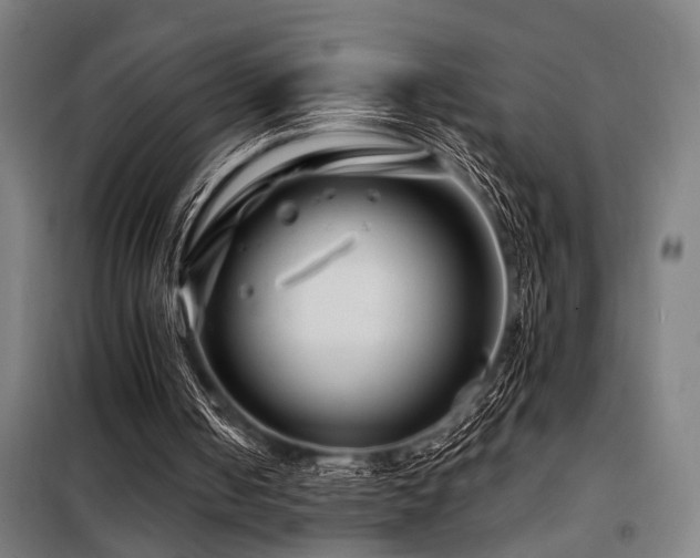 X0000098090050200804041230