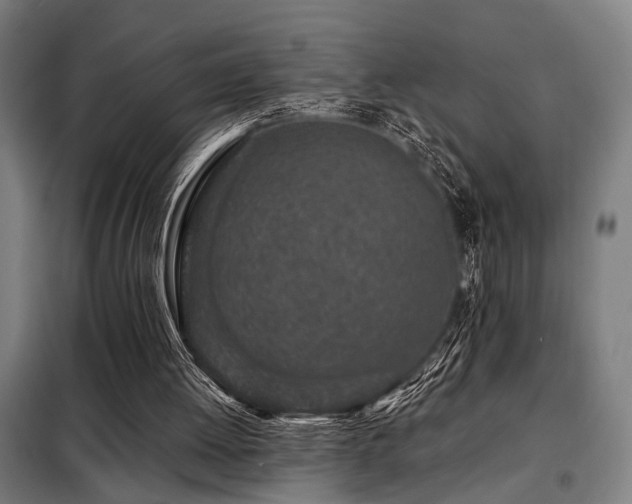 X0000098090052200804041230