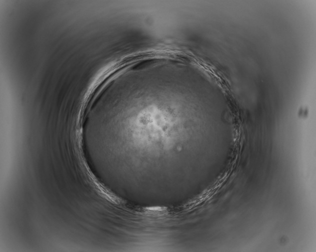 X0000098090053200804041230